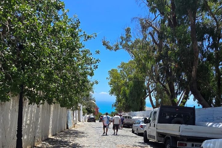 Excursion Journée Magique Bleu & Blanc : Médine, Sidi Bou Said & Carthage à Tunis