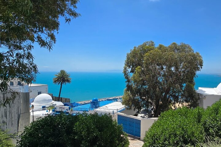 Excursion Journée Magique Bleu & Blanc : Médine, Sidi Bou Said & Carthage à Tunis