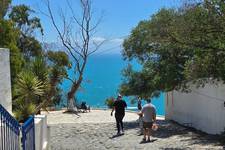 Excursion Journée Magique Bleu & Blanc : Médine, Sidi Bou Said & Carthage à Tunis