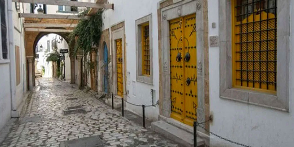 Excursion De Hammamet ou Tunis: Carthage, Bardo, Sidi Bou said et Médine à Tunis